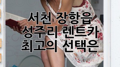 서천 장항읍 성주리 렌트카: 최고의 선택은?